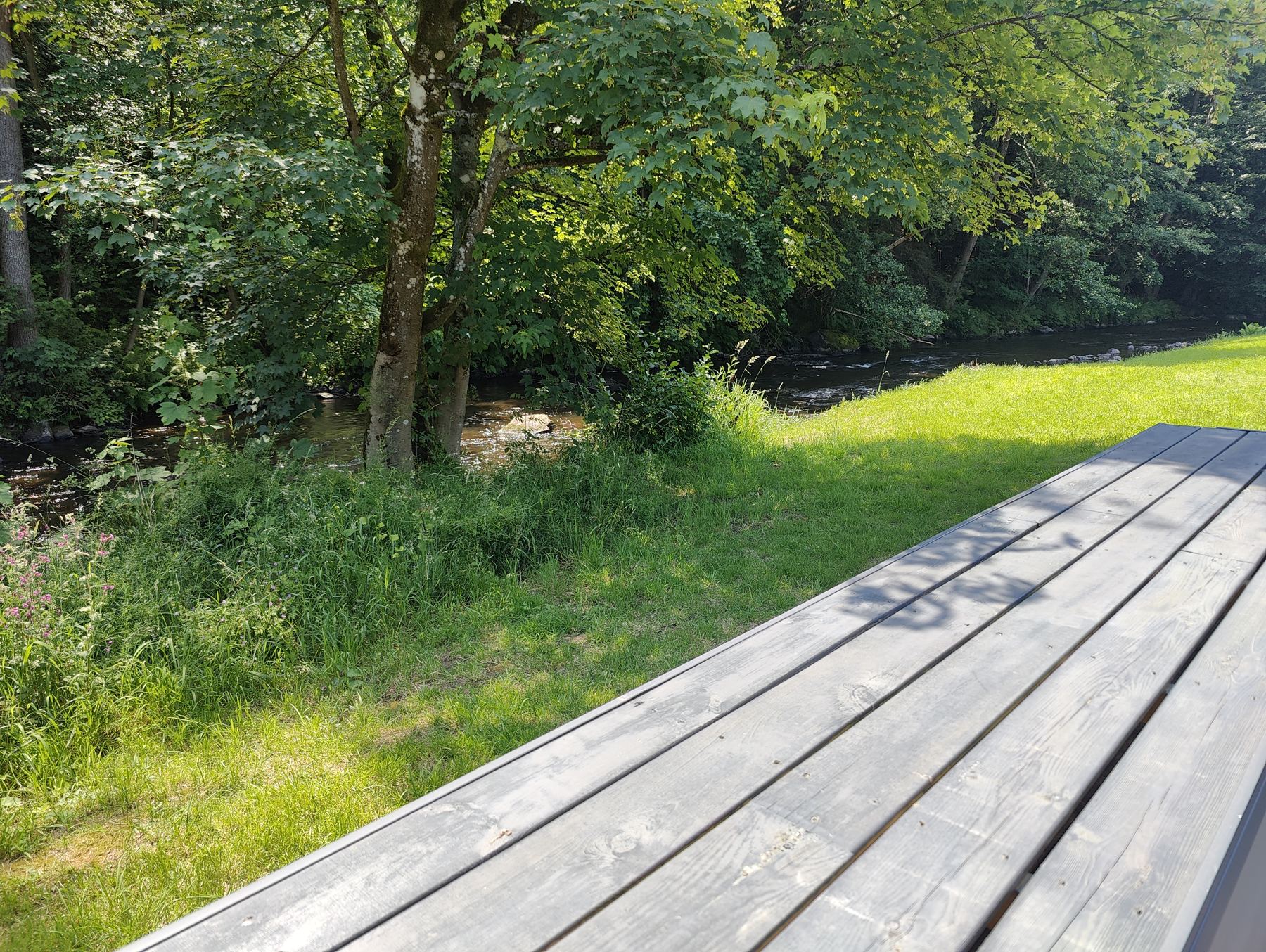 Zicht op de rivier naast de glamping