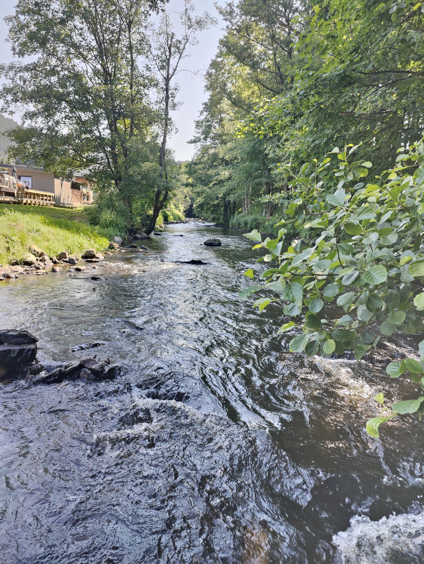 De rivier in het groen bij Trois Ponts